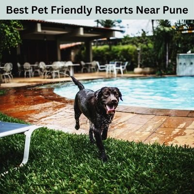 Best Pet Friendly Resorts Near Pune